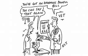 please say that again